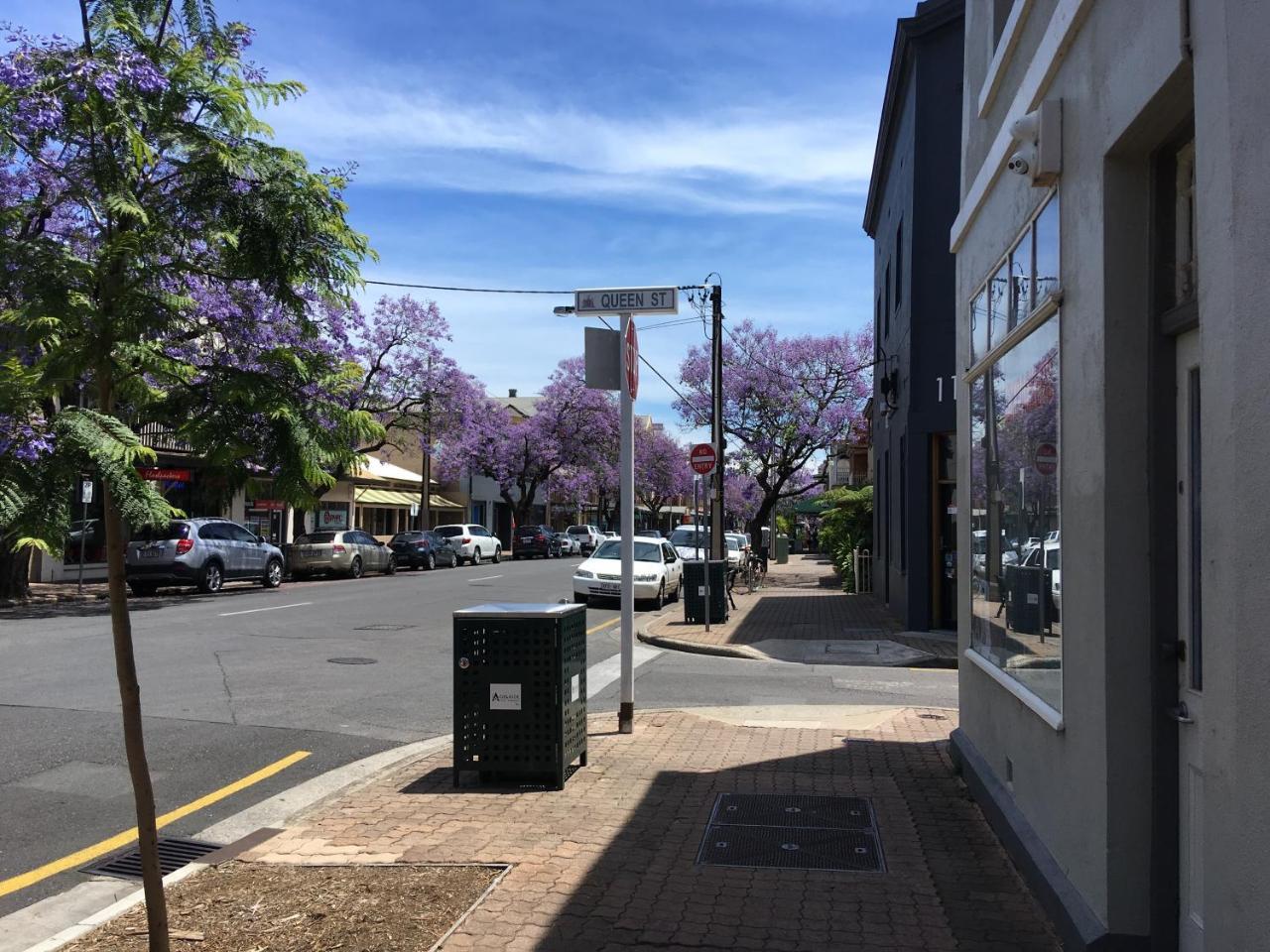 Shingo'S Backpackers Pansiyon Adelaide Dış mekan fotoğraf